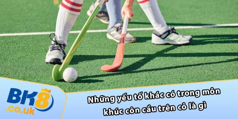 Những yếu tố khác có trong môn khúc côn cầu trên cỏ là gì